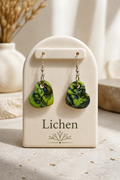 Lichen